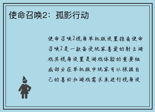 使命召唤2：孤影行动